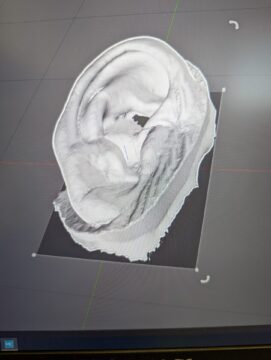 Prosthetic ear model