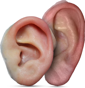 Prosthetic ears pair