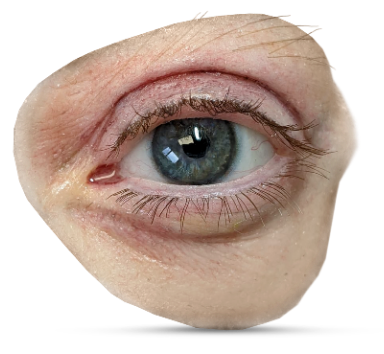 Prosthetic nose and eye