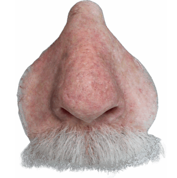 Prosthetic nose with mustache